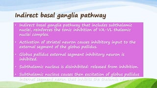 Indirect basal ganglia pathway
• Indirect basal ganglia pathway that includes subthalamic
nuclei, reinforces the tonic inhibition of VA-VL thalamic
nuclei complex.
• Activation of striatal neuron causes inhibitory input to the
external segment of the globus pallidus.
• Globus pallidus external segment inhibitory neuron is
inhibited.
• Subthalamic nucleus is disinhibited: released from inhibition.
• Subthalamic nucleus causes then excitation of globus pallidus
internal segment neron that inhibits the thalamic neuron.
 