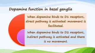 Dopamine function in basal ganglia
When dopamine binds to D1 receptors,
direct pathway is activated: movement is
facilitated.
When dopamine binds to D2 receptors,
indirect pathway is activated and there
is no movement.
 