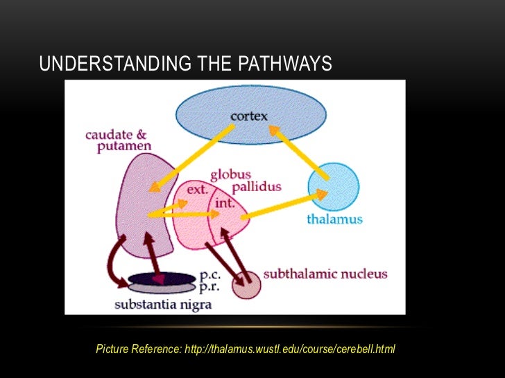 Basal ganglia parkinson's disease