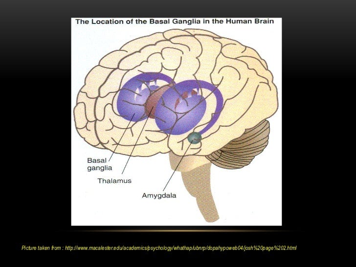 Basal ganglia parkinson's disease