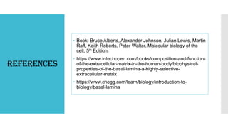 References
 Book: Bruce Alberts, Alexander Johnson, Julian Lewis, Martin
Raff, Keith Roberts, Peter Walter, Molecular biology of the
cell, 5th Edition.
 https://www.intechopen.com/books/composition-and-function-
of-the-extracellular-matrix-in-the-human-body/biophysical-
properties-of-the-basal-lamina-a-highly-selective-
extracellular-matrix
 https://www.chegg.com/learn/biology/introduction-to-
biology/basal-lamina
 