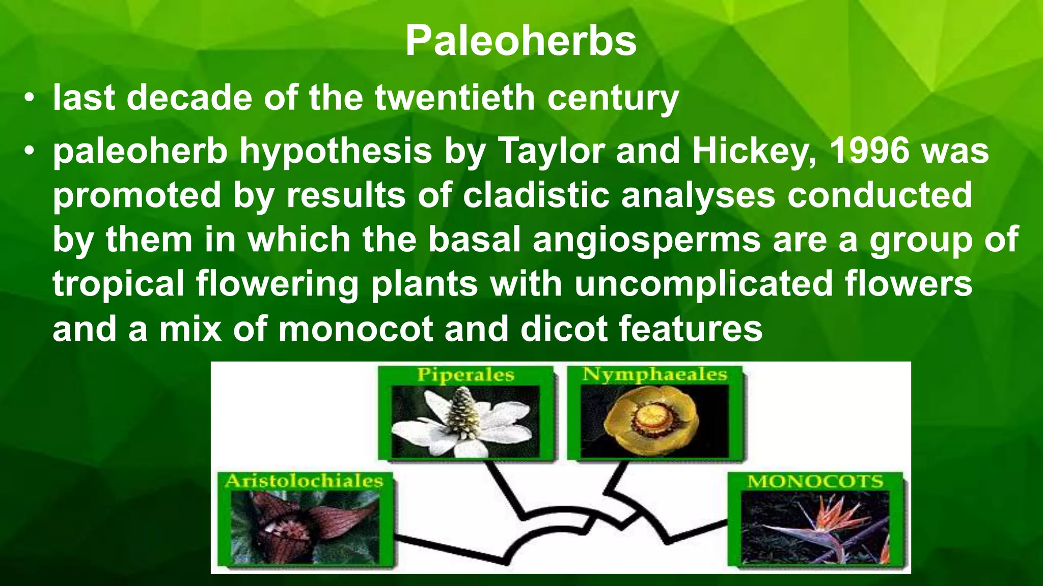 Basal living angiosperms one of the topics in Plant Systemativ | PPTX
