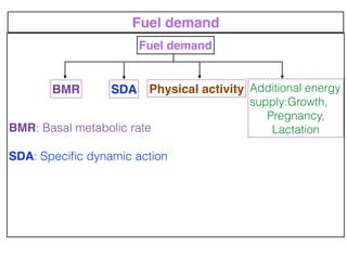 Basal metabolic rate(bmr)and nutrition | PDF