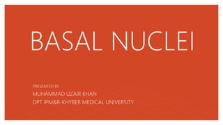 BASAL NUCLEI
PRESENTED BY
MUHAMMAD UZAIR KHAN
DPT IPM&R-KHYBER MEDICAL UNIVERSITY
 