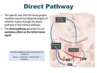 Functional Anatomy & physiology of the Basal nuclei | PPTX