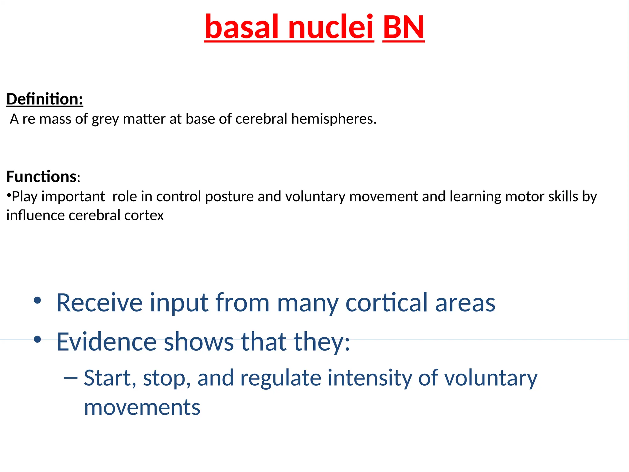 BASAL NUCLEI.pptxvbfgfdggfgghcgddgfrryyg | PPTX