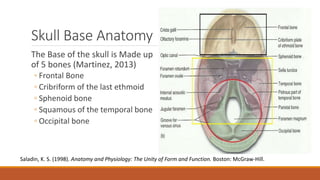 Skull Base Anatomy
The Base of the skull is Made up
of 5 bones (Martinez, 2013)
◦ Frontal Bone
◦ Cribriform of the last ethmoid
◦ Sphenoid bone
◦ Squamous of the temporal bone
◦ Occipital bone
Saladin, K. S. (1998). Anatomy and Physiology: The Unity of Form and Function. Boston: McGraw-Hill.
 