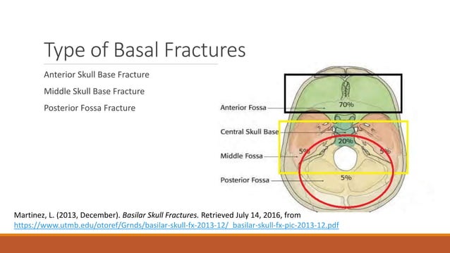 Basal skull fractures