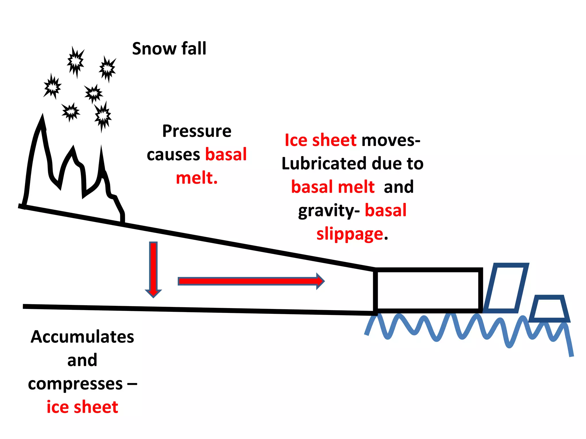 Snow fall Accumulates and compresses –  ice sheet Pressure causes  basal melt. Ice sheet  moves-Lubricated due to  basal melt  and gravity-  basal slippage . 