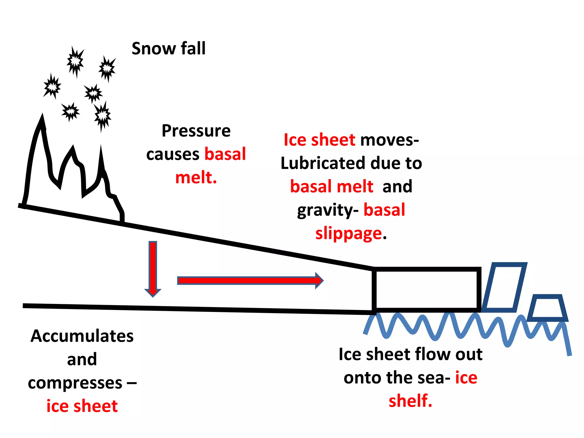 Snow fall Accumulates and compresses –  ice sheet Pressure causes  basal melt. Ice sheet  moves-Lubricated due to  basal melt  and gravity-  basal slippage . Ice sheet flow out onto the sea-  ice shelf. 