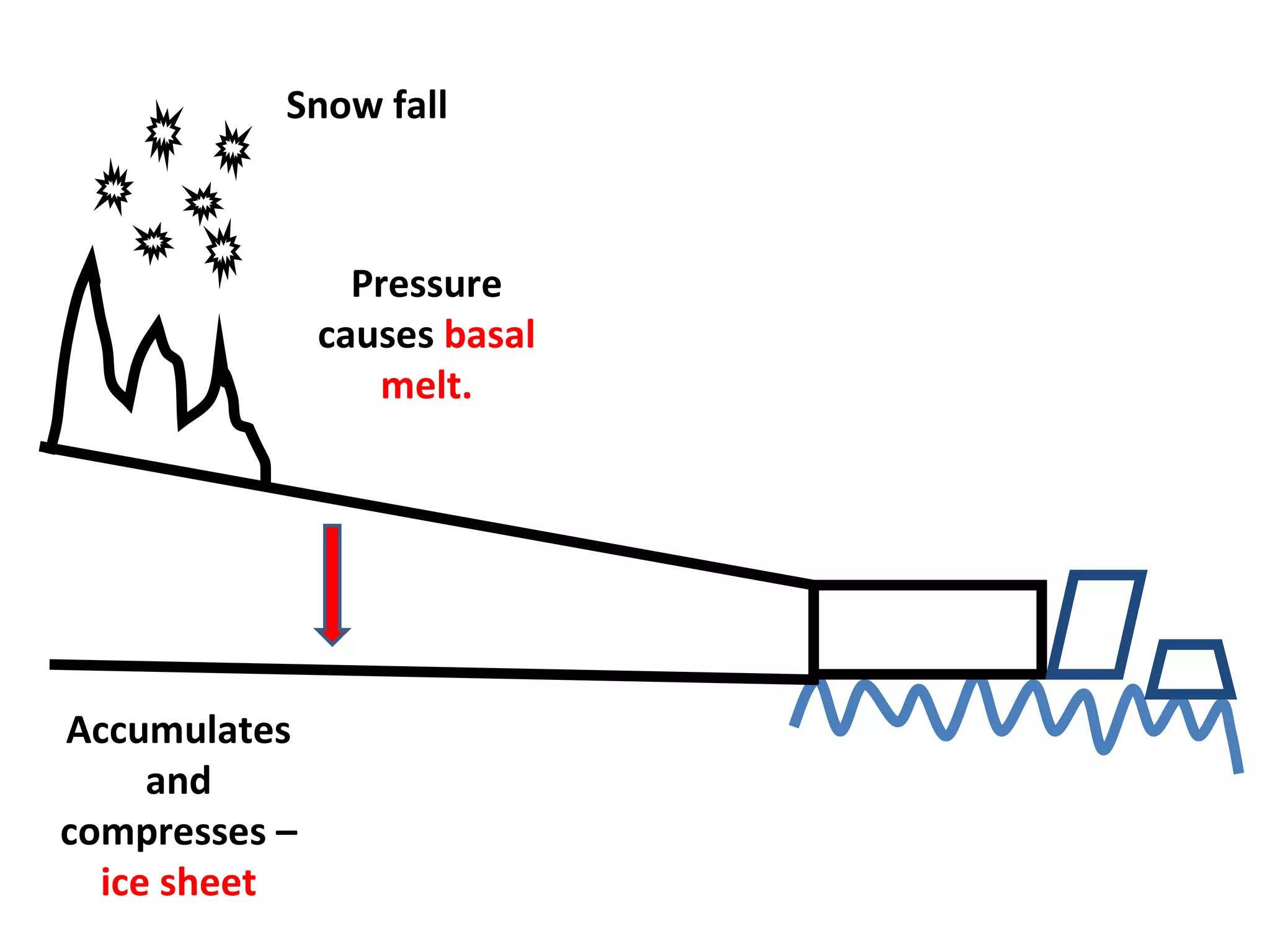 Snow fall Accumulates and compresses –  ice sheet Pressure causes  basal melt. 