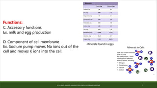 DE LA SALLE ARANETA UNIVERSITY-DOCTORS OF VETERINARY MEDICINE 7
Functions:
C. Accessory functions
Ex. milk and egg production
D. Component of cell membrane
Ex. Sodium pump moves Na ions out of the
cell and moves K ions into the cell.
Minerals found in eggs
 