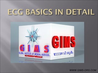 WWW.GIMS-ORG.COM
 