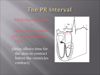 Atrial depolarization
+
delay in AV junction
(AV node/Bundle of
His)
(delay allows time for
the atria to contract
before the ventricles
contract)
 