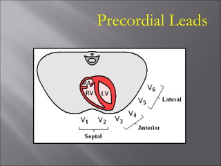 Precordial Leads
 