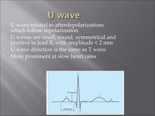  U wave related to afterdepolarizations
which follow repolarization
 U waves are small, round, symmetrical and
positive in lead II, with amplitude < 2 mm
 U wave direction is the same as T wave
 More prominent at slow heart rates
 