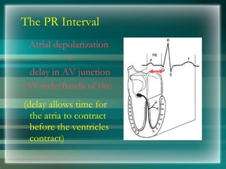 The PR Interval
Atrial depolarization
+
delay in AV junction
(AV node/Bundle of His)
(delay allows time for
the atria to contract
before the ventricles
contract)
 