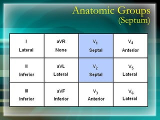 Anatomic Groups
(Septum)
 