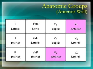 Anatomic Groups
(Anterior Wall)
 