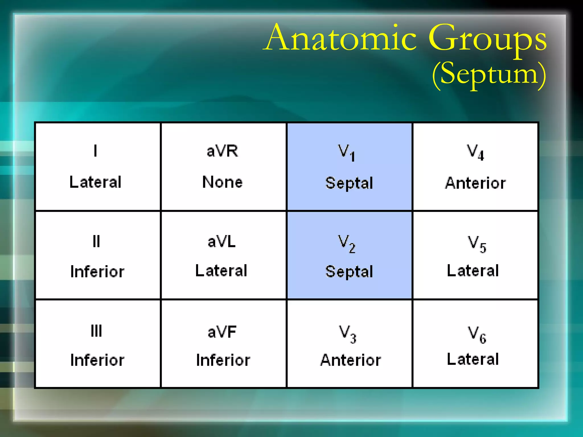 Anatomic Groups (Septum) 