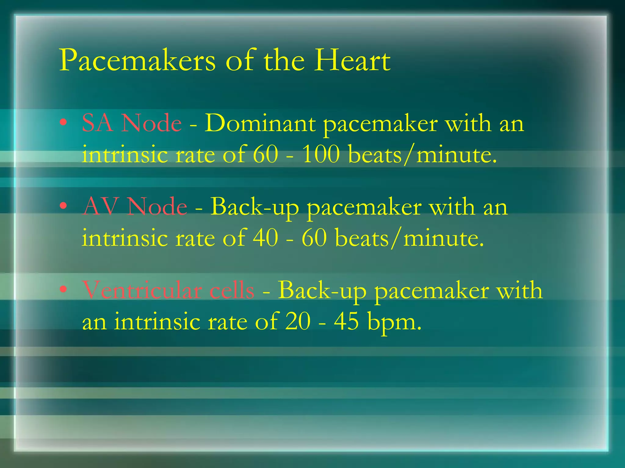 Pacemakers of the Heart SA Node  - Dominant pacemaker with an intrinsic rate of 60 - 100 beats/minute. AV Node  - Back-up pacemaker with an intrinsic rate of 40 - 60 beats/minute. Ventricular cells  - Back-up pacemaker with an intrinsic rate of 20 - 45 bpm. 