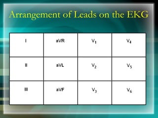 Arrangement of Leads on the EKG 