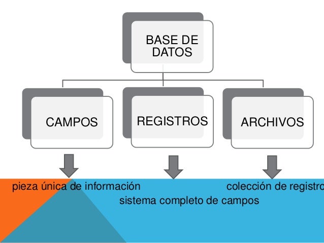 Resultado de imagen para base de datos tiene campo registro archivo