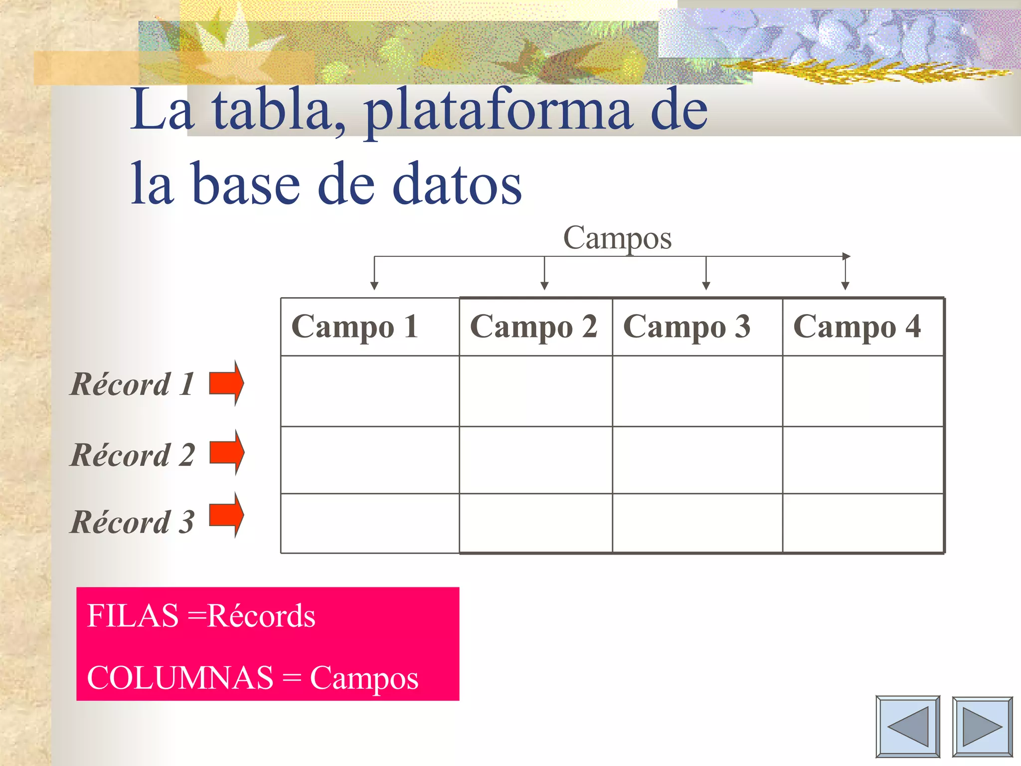 Base De Datos Con Word | PPT