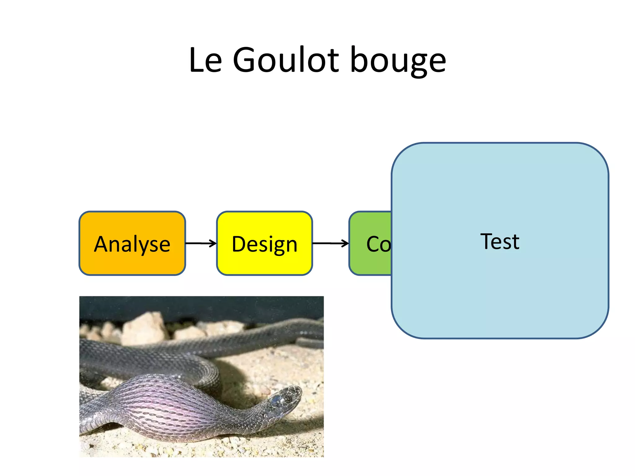 Le Goulot bougeTestAnalyseDesignCode