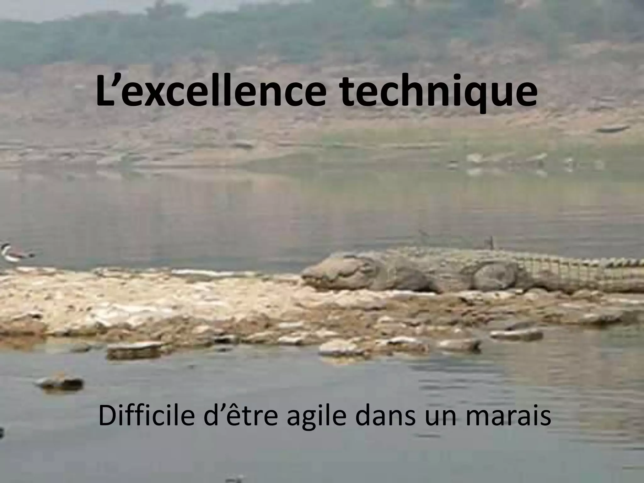 L’excellence techniqueDifficile d’être agile dans un marais