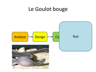 Le Goulot bougeTestAnalyseDesignCode