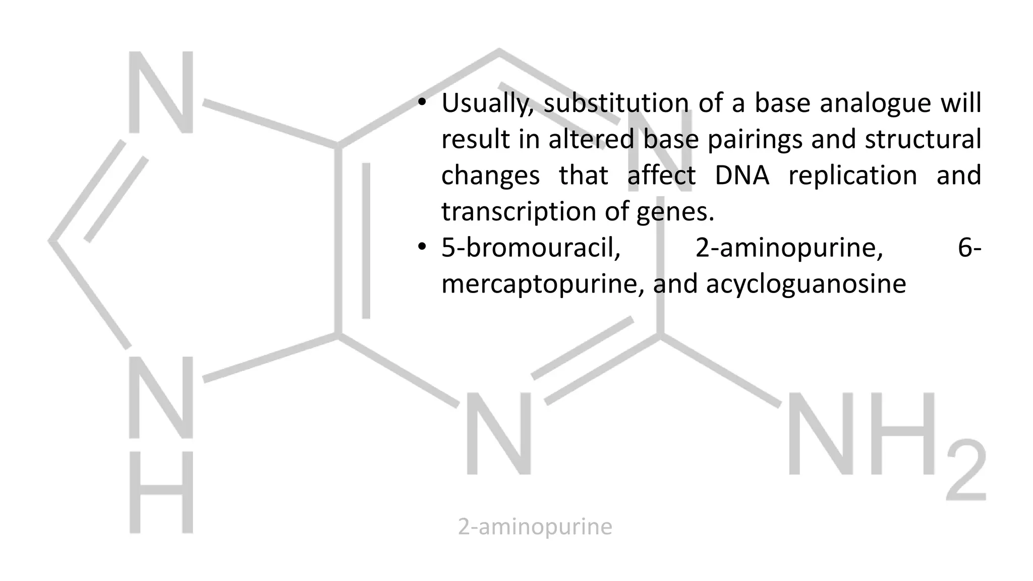• Usually, substitution of a base analogue will
result in altered base pairings and structural
changes that affect DNA replication and
transcription of genes.
• 5-bromouracil, 2-aminopurine, 6-
mercaptopurine, and acycloguanosine
2-aminopurine
 