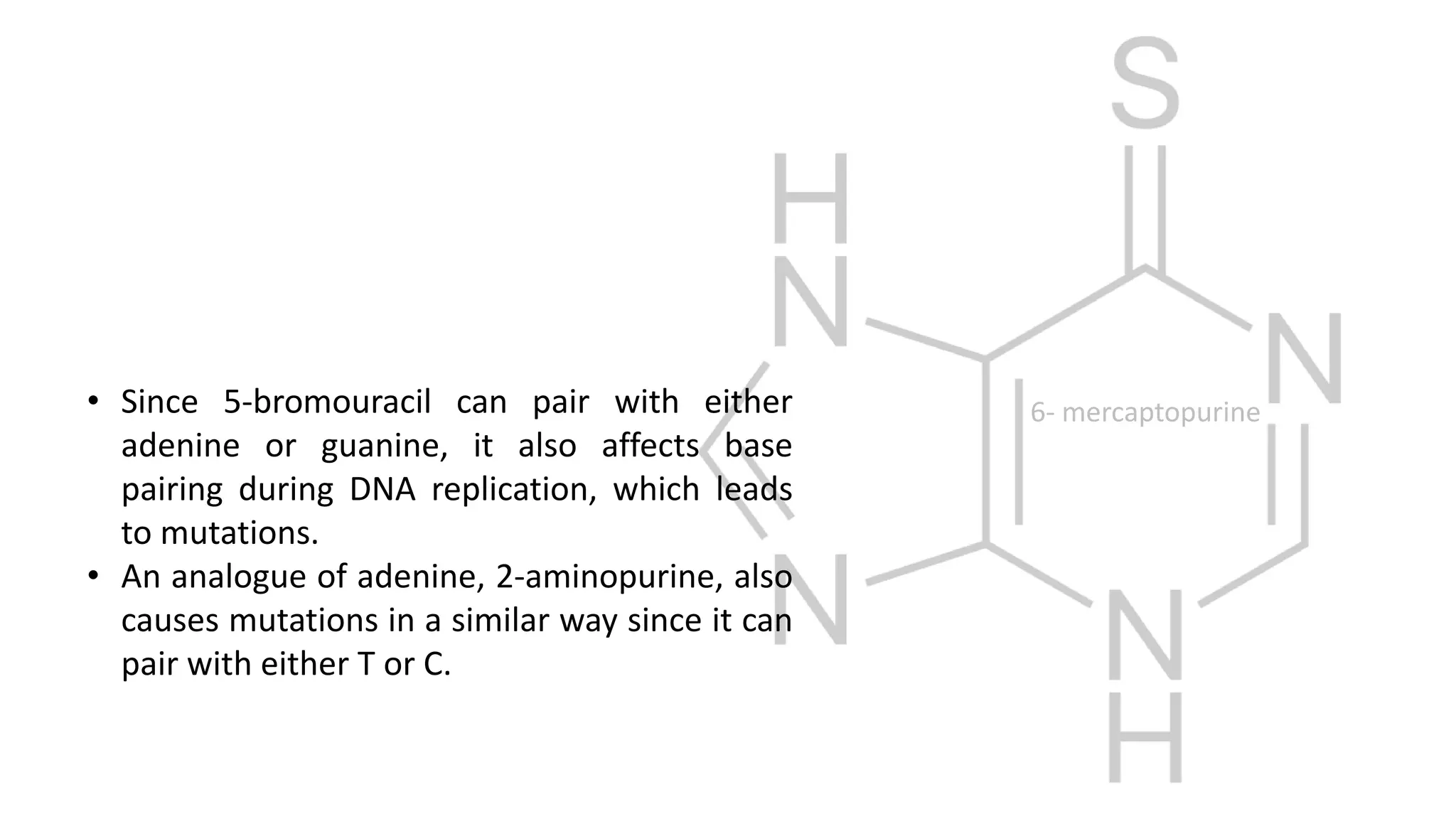 • Since 5-bromouracil can pair with either
adenine or guanine, it also affects base
pairing during DNA replication, which leads
to mutations.
• An analogue of adenine, 2-aminopurine, also
causes mutations in a similar way since it can
pair with either T or C.
6- mercaptopurine
 