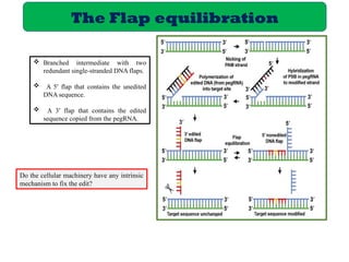 CRISPR-Cas9 system: Base and prime editing.pptx