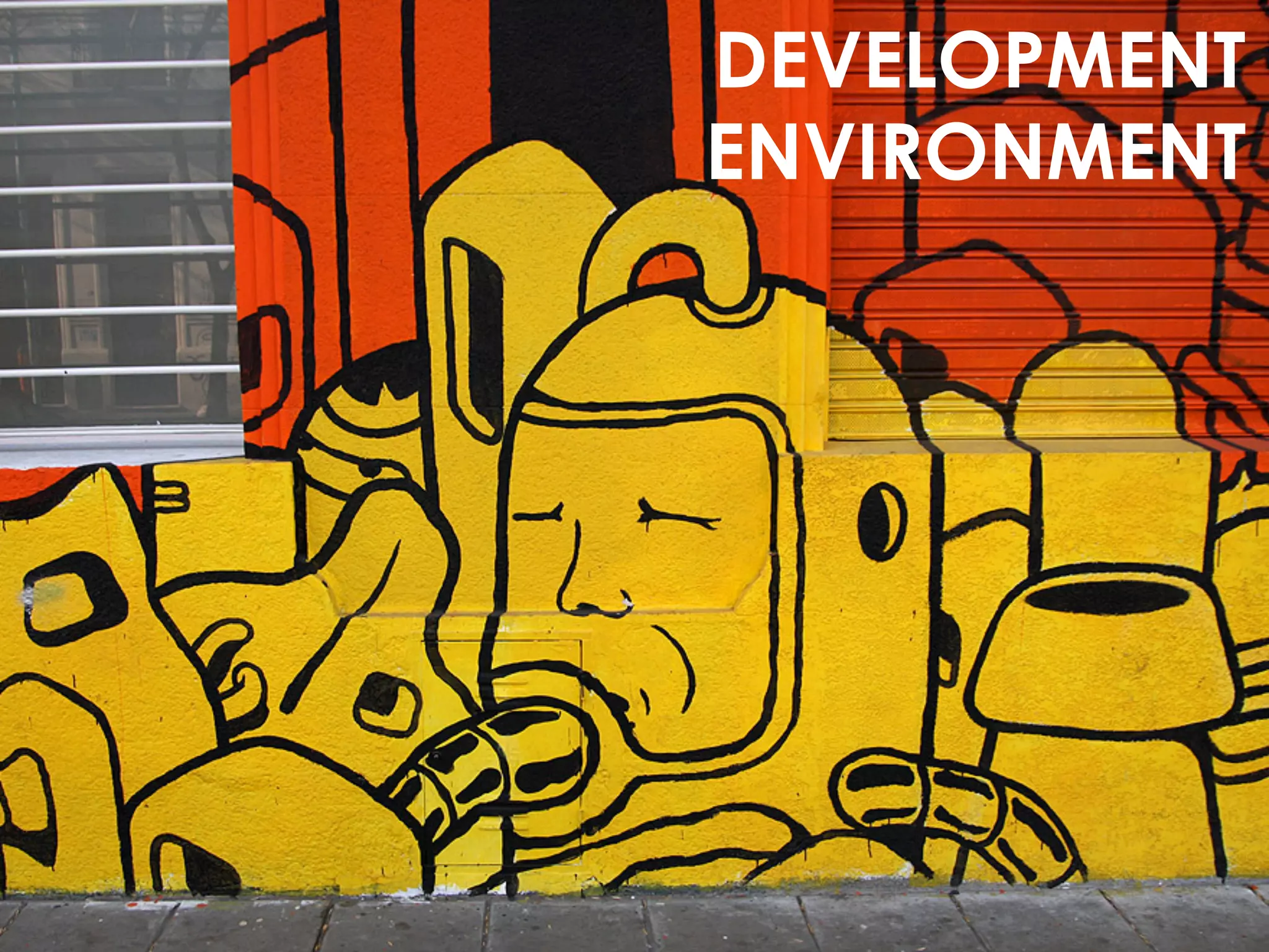 DEVELOPMENT
ENVIRONMENT
 