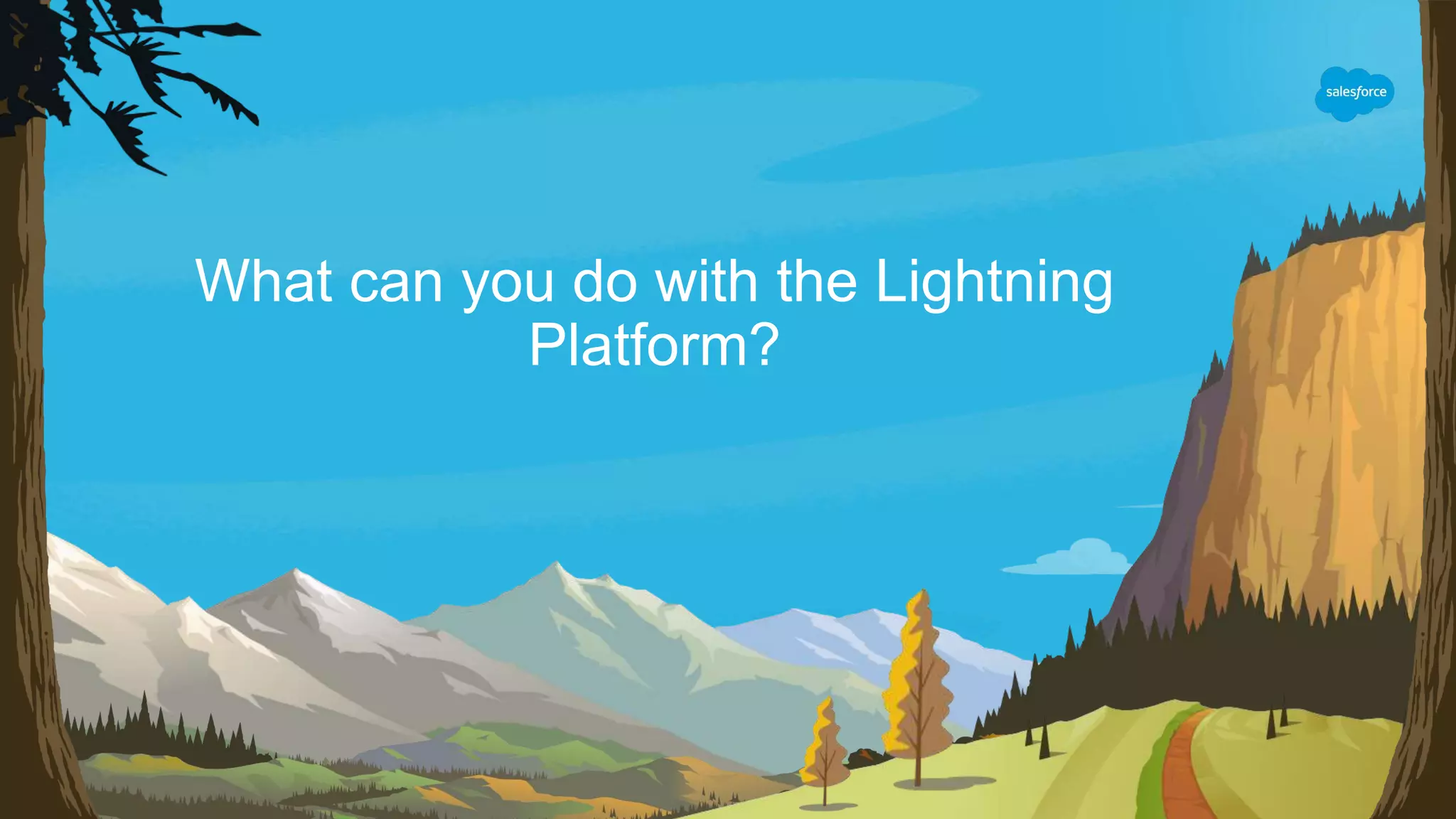 What can you do with the Lightning
Platform?
 