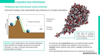 Proteínas que funcionam como enzimas
Uma das funções mais importantes das proteínas é a função enzimática.
Enzimas são catalisadores das reações biológicas.
Elas facilitam as reações baixando a energia de
ativação, ou seja, a anergia necessária para
desencadear a reação.
As enzimas são específicas para uma determinada reação
ou conjunto de reações que catalisam. Por exemplo, a
amílase salivar apenas atua sobre o amido (substrato da
amílase).
Esta especificidade relaciona-se com a estrutura da proteína.
Sítio ativo da enzima,
com forma e afinidade
química para o «encaixe»
com o substrato.
FUNÇÕES DAS PROTEÍNAS
Produtos
da reação
Energia de ativação
Energia
Reagentes ou
substrato
 