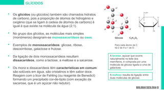  Os glícidos (ou glúcidos) também são chamados hidratos
de carbono, pois a proporção de átomos de hidrogénio e
oxigénio (que se ligam à cadeia de átomos de carbono) é
igual à que existe na molécula da água (2:1).
 No grupo dos glícidos, as moléculas mais simples
(monómeros) designam-se monossacarídeos ou oses.
 Exemplos de monossacarídeos: glicose, ribose,
desoxirribose, galactose e frutose.
 Da ligação de dois monossacarídeos resultam
dissacarídeos, como a lactose, a maltose e a sacarose.
 Os mono e dissacarídeos têm características em comum:
são solúveis em água, são cristalinos e têm sabor doce.
Reagem com o licor de Fehling (ou reagente de Benedict)
formando um precipitado cor-de-tijolo (com exceção da
sacarose, que é um açúcar não redutor).
A lactose, açúcar que ocorre
naturalmente no leite dos
mamíferos, é composta por uma
molécula de glicose ligada a uma de
galactose.
Glicose C6H12O6
Para cada átomo de C
há 2 de H e 1 de O.
GLÍCIDOS
A maltose resulta da ligação entre
duas moléculas de glicose.
 