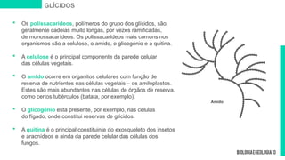 Os polissacarídeos, polímeros do grupo dos glícidos, são
geralmente cadeias muito longas, por vezes ramificadas,
de monossacarídeos. Os polissacarídeos mais comuns nos
organismos são a celulose, o amido, o glicogénio e a quitina.
 A celulose é o principal componente da parede celular
das células vegetais.
 O amido ocorre em organitos celulares com função de
reserva de nutrientes nas células vegetais – os amiloplastos.
Estes são mais abundantes nas células de órgãos de reserva,
como certos tubérculos (batata, por exemplo).
 O glicogénio esta presente, por exemplo, nas células
do fígado, onde constitui reservas de glícidos.
 A quitina é o principal constituinte do exosqueleto dos insetos
e aracnídeos e ainda da parede celular das células dos
fungos.
Amido
GLÍCIDOS
 