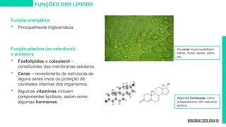 FUNÇÕES DOS LÍPIDOS
Função energética
 Principalmente triglicerídeos.
Função plástica (ou estrutural)
e protetora
 Fosfolípidos e colesterol –
constituintes das membranas celulares.
 Ceras – revestimento de estruturas de
alguns seres vivos ou proteção de
cavidades internas dos organismos.
 Algumas vitaminas incluem
componentes lipídicos, assim como
algumas hormonas.
Algumas hormonas, como
a testosterona, têm natureza
lipídica.
As ceras impermeabilizam
folhas, frutos, penas, pelos,
etc..
 