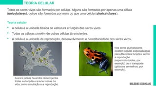 TEORIA CELULAR
Todos os seres vivos são formados por células. Alguns são formados por apenas uma célula
(unicelulares), outros são formados por mais do que uma célula (pluricelulares).
Teoria celular
 A célula é a unidade básica de estrutura e função dos seres vivos.
 Todas as células provêm de outras células já existentes.
 A célula é a unidade de reprodução, desenvolvimento e hereditariedade dos seres vivos.
A única célula da amiba desempenha
todas as funções características da
vida, como a nutrição e a reprodução.
Nos seres pluricelulares
existem células especializadas
para diferentes funções, como
a reprodução
(espermatozoides, por
exemplo) ou o transporte
(glóbulos vermelhos, por
exemplo).
 