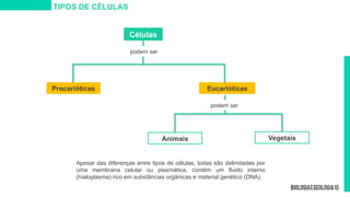 TIPOS DE CÉLULAS
Células
Procarióticas Eucarióticas
Animais Vegetais
podem ser
Apesar das diferenças entre tipos de células, todas são delimitadas por
uma membrana celular ou plasmática, contêm um fluido interno
(hialoplasma) rico em substâncias orgânicas e material genético (DNA).
podem ser
 