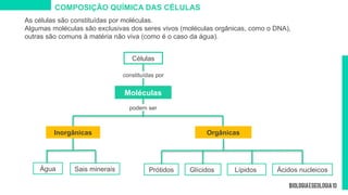 COMPOSIÇÃO QUÍMICA DAS CÉLULAS
Inorgânicas Orgânicas
Prótidos Ácidos nucleicos
As células são constituídas por moléculas.
Algumas moléculas são exclusivas dos seres vivos (moléculas orgânicas, como o DNA),
outras são comuns à matéria não viva (como é o caso da água).
Água Sais minerais Glícidos Lípidos
Células
Moléculas
constituídas por
podem ser
 