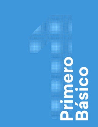 Primero
Básico
 