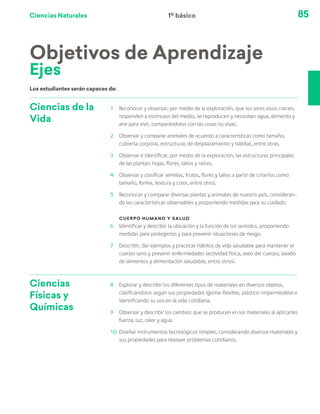 Ciencias Naturales 85
Los estudiantes serán capaces de:
Ciencias de la
Vida
1	 Reconocer y observar, por medio de la exploración, que los seres vivos crecen,
responden a estímulos del medio, se reproducen y necesitan agua, alimento y
aire para vivir, comparándolos con las cosas no vivas.
2	 Observar y comparar animales de acuerdo a características como tamaño,
cubierta corporal, estructuras de desplazamiento y hábitat, entre otras.
3	 Observar e identificar, por medio de la exploración, las estructuras principales
de las plantas: hojas, flores, tallos y raíces.
4	 Observar y clasificar semillas, frutos, flores y tallos a partir de criterios como
tamaño, forma, textura y color, entre otros.
5	 Reconocer y comparar diversas plantas y animales de nuestro país, consideran-
do las características observables y proponiendo medidas para su cuidado.
Cuerpo humano y salud
6	 Identificar y describir la ubicación y la función de los sentidos, proponiendo
medidas para protegerlos y para prevenir situaciones de riesgo.
7	 Describir, dar ejemplos y practicar hábitos de vida saludable para mantener el
cuerpo sano y prevenir enfermedades (actividad física, aseo del cuerpo, lavado
de alimentos y alimentación saludable, entre otros).
Ciencias
Físicas y
Químicas
8	 Explorar y describir los diferentes tipos de materiales en diversos objetos,
clasificándolos según sus propiedades (goma-flexible, plástico-impermeable) e
identificando su uso en la vida cotidiana.
9	 Observar y describir los cambios que se producen en los materiales al aplicarles
fuerza, luz, calor y agua.
10	 Diseñar instrumentos tecnológicos simples, considerando diversos materiales y
sus propiedades para resolver problemas cotidianos.
Objetivos de Aprendizaje
Ejes
1º básico
 