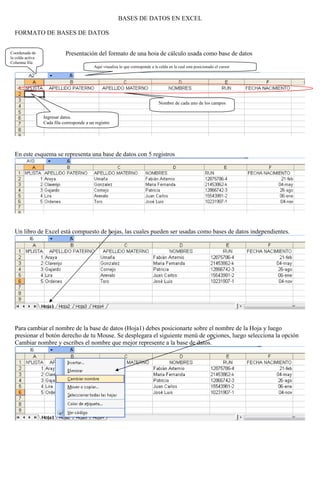 BASES DE DATOS EN EXCEL
FORMATO DE BASES DE DATOS
Coordenada de
la celda activa
Columna fila

Presentación del formato de una hoja de cálculo usada como base de datos
Aquí visualiza lo que corresponde a la celda en la cual esta posicionado el cursor

Nombre de cada uno de los campos
Ingresar datos.
Cada fila corresponde a un registro

En este esquema se representa una base de datos con 5 registros

Un libro de Excel está compuesto de hojas, las cuales pueden ser usadas como bases de datos independientes.

Para cambiar el nombre de la base de datos (Hoja1) debes posicionarte sobre el nombre de la Hoja y luego
presionar el botón derecho de tu Mouse. Se desplegara el siguiente menú de opciones, luego selecciona la opción
Cambiar nombre y escribes el nombre que mejor represente a la base de datos.

 