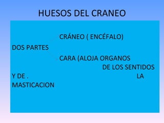 HUESOS DEL CRANEO CRÁNEO ( ENCÉFALO) DOS PARTES  CARA (ALOJA ORGANOS  .   DE LOS SENTIDOS Y DE .  L  LA MASTICACION  