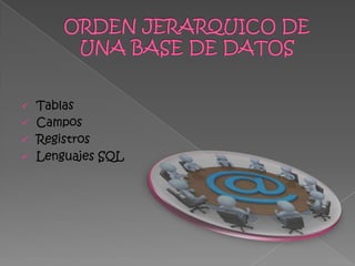   Tablas
   Campos
   Registros
   Lenguajes SQL
 