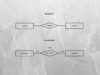 Relación
Cardinales
 
