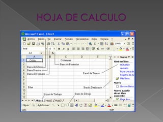 HOJA DE CALCULO